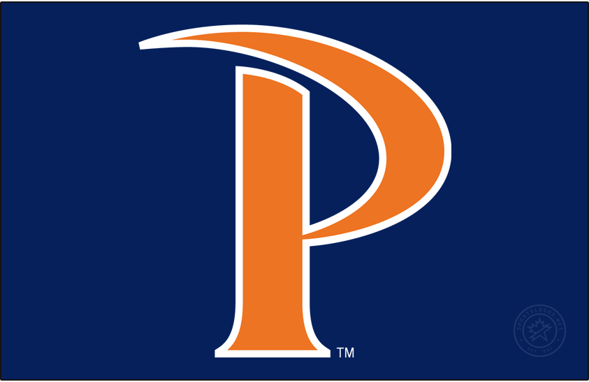 Pepperdine Waves 2012-Pres Alt on Dark Logo v2 diy DTF decal sticker